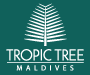 Tropic Tree Maldives | Gulhi accommodation | Hotel Guesthouse - bed and breakfast.