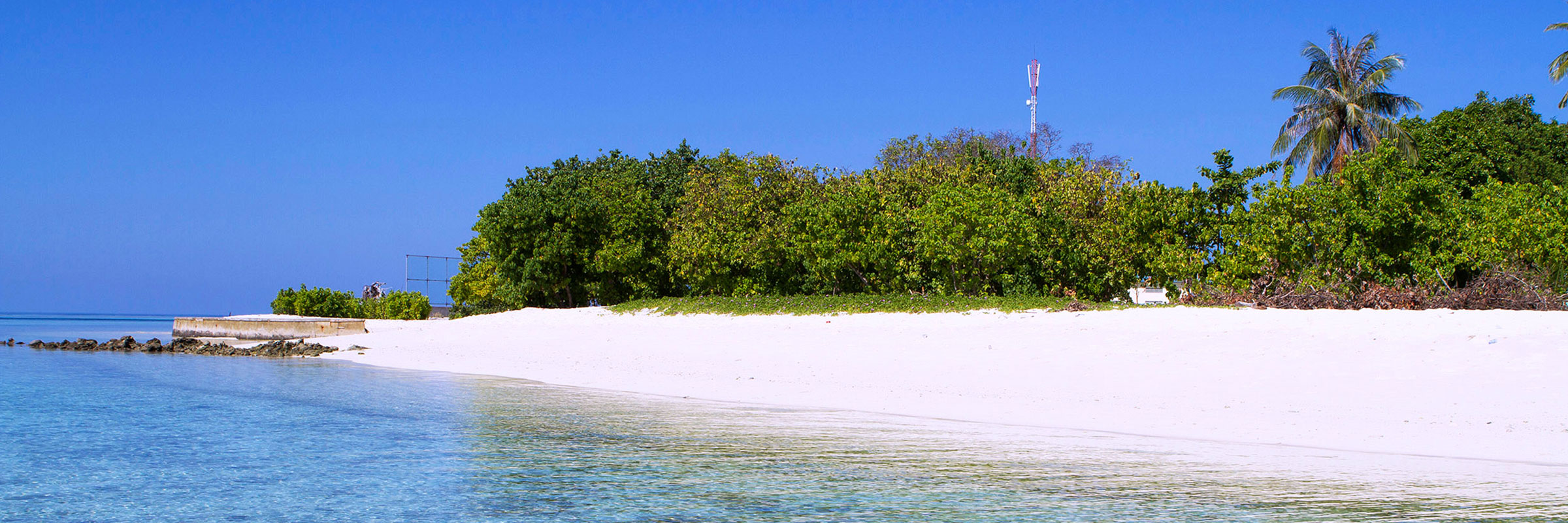 Gulhi Island - Tropic Tree Maldives